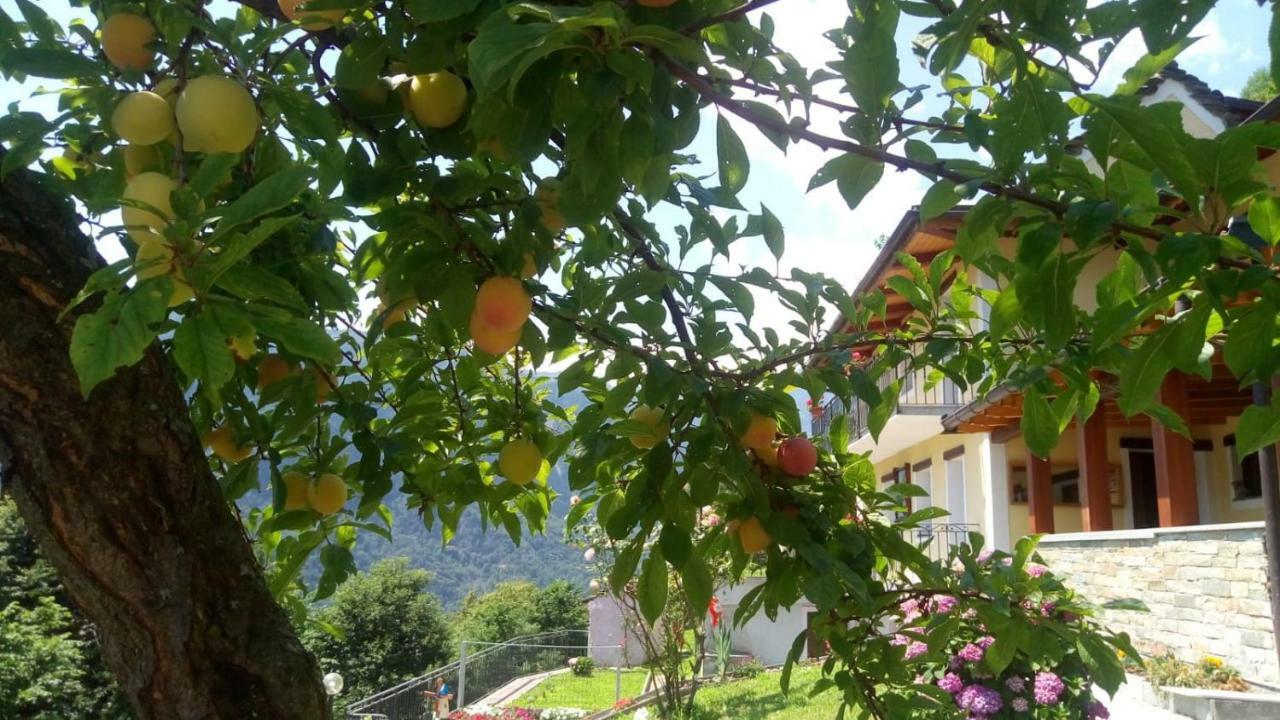 Cat Marvei Daire Villadossola Dış mekan fotoğraf